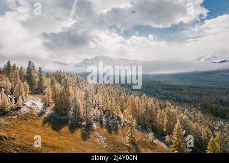 Drohnenansicht des verschneiten Waldes und der Berge Stockfoto