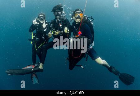 Taucher halten während eines Tauchgangs auf den Malediven an Stockfoto