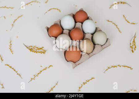 Schöne Osterkomposition mit Eiern, Mimosenblüten auf weißem Hintergrund Stockfoto
