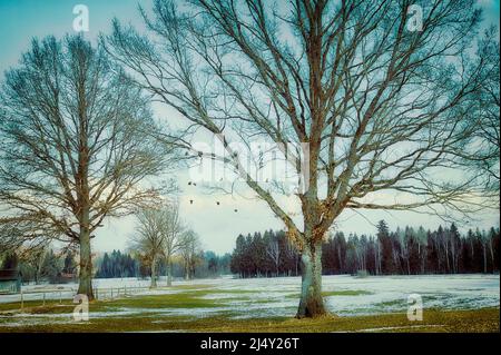 FOTOKUNST: Hochfilzen Moorlandschaft bei Bad Tölz, Oberbayern, Deutschland Stockfoto