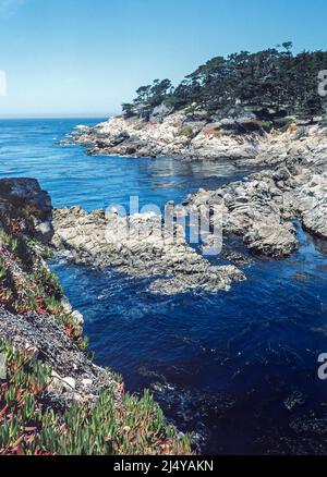 Ein Blick auf den Pazifik entlang des 17-Mile Drive auf der Monterey-Halbinsel in Kalifornien. Stockfoto