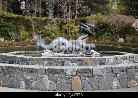 Ein Springbrunnen mit Drachenskulpturen in den Butchart Gardens in Victoria, BC, Kanada. Stockfoto