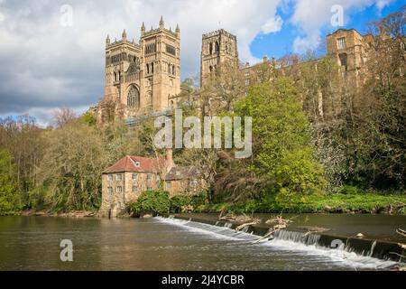 Die Kathedrale von Durham befindet sich in Durham, England. Es ist der Sitz des Bischofs von Durham, des viertrangigen Bischofs in der Church of England Hierarch Stockfoto