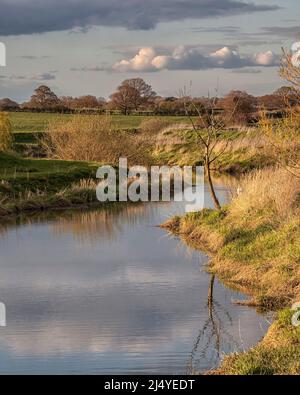 Am Ufer der Adur Stockfoto