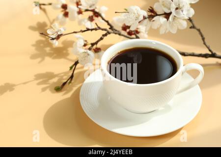 tasse Kaffee mit Aprikosenblüte Stockfoto