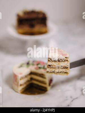 Scheibe Tiramisu-Bento-Kuchen. Präsentation des Kuchens im Abschnitt. Süßes Dessert für eine Person. Kleiner Geburtstagskuchen. Hintergrund von anderen Bento-Kuchen Stockfoto