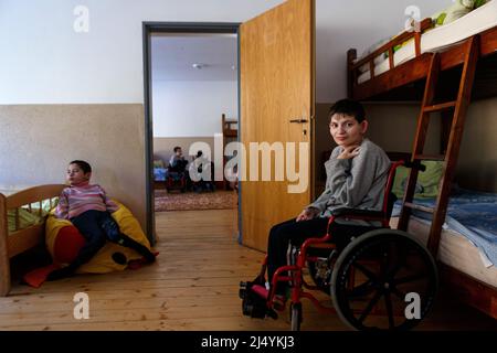 VILSHANY, UKRAINE - 15. APRIL 2022 - Kinder mit besonderen Bedürfnissen, die aus Einrichtungen in der Region Zhytomyr und Kryvyi Rih evakuiert wurden, bleiben am Wildschwein Stockfoto