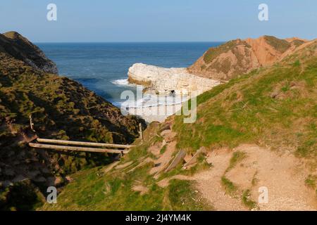 Ein Felsen an der Little Thornwick Bay an der Yorkshire Coast in der Nähe von Flamborough, der einer Schildkröte ähnelt Stockfoto