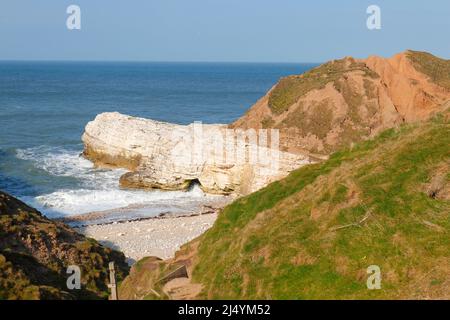 Ein Felsen an der Little Thornwick Bay an der Yorkshire Coast in der Nähe von Flamborough, der einer Schildkröte ähnelt Stockfoto