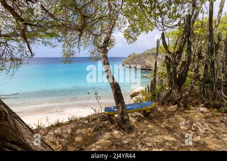 Baum und eine Bank mit der Flagge von Curacao mit Blick auf Playa Jeremi und das Karibische Meer in allen Blautönen - Travelling Curacao Stockfoto