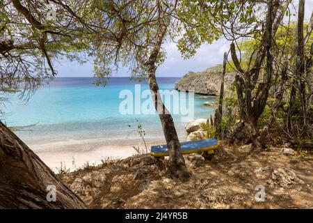 Baum und eine Bank mit der Flagge von Curacao mit Blick auf Playa Jeremi und das Karibische Meer in allen Blautönen - Travelling Curacao Stockfoto