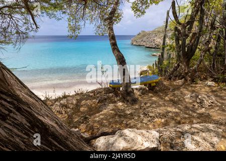 Baum und eine Bank mit der Flagge von Curacao mit Blick auf Playa Jeremi und das Karibische Meer in allen Blautönen - Travelling Curacao Stockfoto