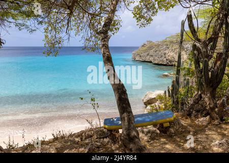 Baum und eine Bank mit der Flagge von Curacao mit Blick auf Playa Jeremi und das Karibische Meer in allen Blautönen - Travelling Curacao Stockfoto