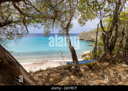 Baum und eine Bank mit der Flagge von Curacao mit Blick auf Playa Jeremi und das Karibische Meer in allen Blautönen - Travelling Curacao Stockfoto