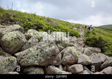 An einem bewölkten Sommertag machen sich Wanderer auf dem Bondcliff Trail in den White Mountains, New Hampshire, auf den Weg. Stockfoto