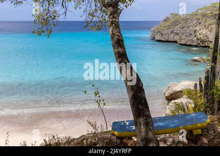 Baum und eine Bank mit der Flagge von Curacao mit Blick auf Playa Jeremi und das Karibische Meer in allen Blautönen - Travelling Curacao Stockfoto