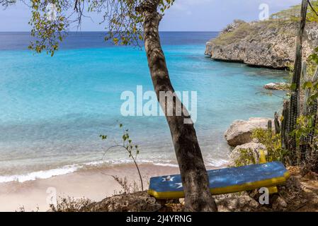 Baum und eine Bank mit der Flagge von Curacao mit Blick auf Playa Jeremi und das Karibische Meer in allen Blautönen - Travelling Curacao Stockfoto