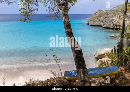 Baum und eine Bank mit der Flagge von Curacao mit Blick auf Playa Jeremi und das Karibische Meer in allen Blautönen - Travelling Curacao Stockfoto