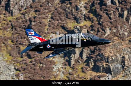 Royal Navy Hawks von 736 Squadron von RNAS Culdrose, auf ihrem letzten britischen Rundflug, hier auf niedrigem Niveau im Lake District durch den Honister Pass gesehen Stockfoto