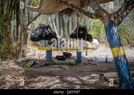 Tauchausrüstung auf einer bemalten Bank im Schatten eines Baumes an der Playa Jeremi auf der Karibikinsel Curacao Stockfoto