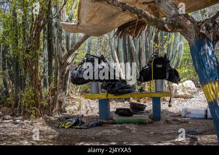 Tauchausrüstung auf einer bemalten Bank im Schatten eines Baumes an der Playa Jeremi auf der Karibikinsel Curacao Stockfoto