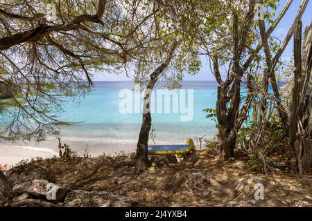 Baum und eine Bank mit der Flagge von Curacao mit Blick auf Playa Jeremi und das Karibische Meer in allen Blautönen - Travelling Curacao Stockfoto