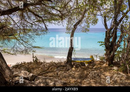 Baum und eine Bank mit der Flagge von Curacao mit Blick auf Playa Jeremi und das Karibische Meer in allen Blautönen - Travelling Curacao Stockfoto