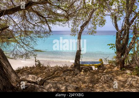 Baum und eine Bank mit der Flagge von Curacao mit Blick auf Playa Jeremi und das Karibische Meer in allen Blautönen - Travelling Curacao Stockfoto