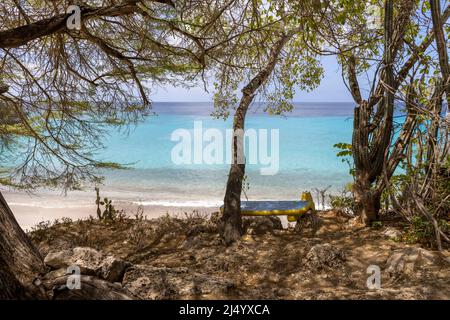 Baum und eine Bank mit der Flagge von Curacao mit Blick auf Playa Jeremi und das Karibische Meer in allen Blautönen - Travelling Curacao Stockfoto