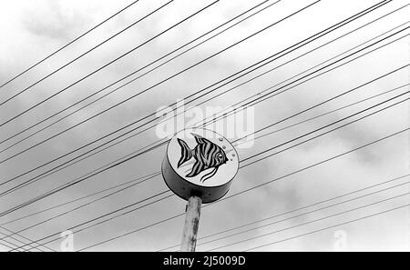 Schilder für eine Tierhandlung und Elektrokabel über dem Sepulveda Blvd, in Cullver City, CA, Stockfoto