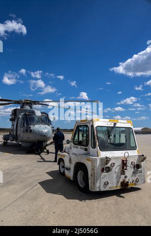 Die Royal Navy 'MOHAWK' Flight Crew, 814 Naval Air Squadron, die derzeit mit der britischen Royal Navy Fregatte HMS Portland (F79) arbeitet, schließt den Merlin Mk2 Hubschrauber an einen Abschleppwagen an der Marine Corps Air Station (MCAS) Beaufort, S.C., 25. März 2022. Die Flugcrew lendete ihren ursprünglichen Flugplan von Jacksonville, N.C. nach MCAS Beaufort ab und nutzte die Einrichtungen der Luftstation und führte Routinewartung durch. (USA Marine Corps Fotos von CPL. Aidan Parker) Stockfoto