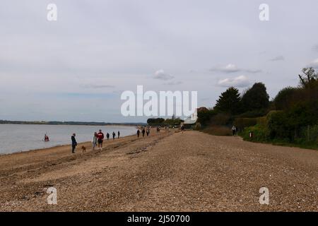 Die Bewohner von Mersea Island genossen den Strand in East Mersea am Ostermontag nach zwei Jahren der COVID-19-Beschränkungen, während West Mersea von Touristen überrannt wurde, Besucher und Bewohner die berühmte Oyster Bar besuchten, um einige der besten Meeresfrüchte zu probieren, die in Großbritannien erhältlich sind ... Stockfoto