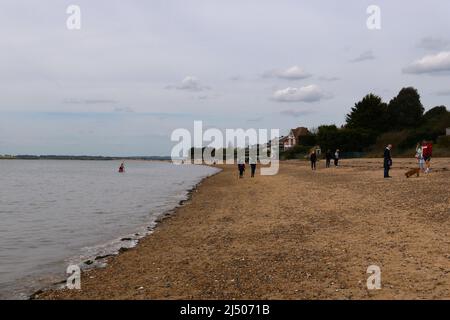 Die Bewohner von Mersea Island genossen den Strand in East Mersea am Ostermontag nach zwei Jahren der COVID-19-Beschränkungen, während West Mersea von Touristen überrannt wurde, Besucher und Bewohner die berühmte Oyster Bar besuchten, um einige der besten Meeresfrüchte zu probieren, die in Großbritannien erhältlich sind ... Stockfoto