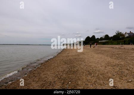 Die Bewohner von Mersea Island genossen den Strand in East Mersea am Ostermontag nach zwei Jahren der COVID-19-Beschränkungen, während West Mersea von Touristen überrannt wurde, Besucher und Bewohner die berühmte Oyster Bar besuchten, um einige der besten Meeresfrüchte zu probieren, die in Großbritannien erhältlich sind ... Stockfoto