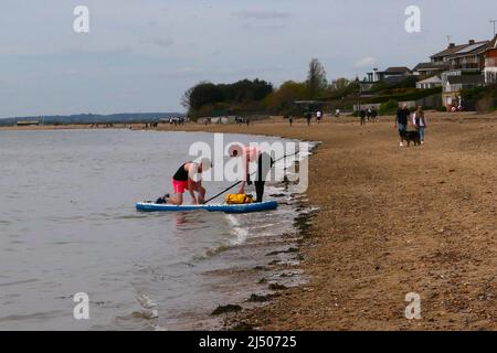 Die Bewohner von Mersea Island genossen den Strand in East Mersea am Ostermontag nach zwei Jahren der COVID-19-Beschränkungen, während West Mersea von Touristen überrannt wurde, Besucher und Bewohner die berühmte Oyster Bar besuchten, um einige der besten Meeresfrüchte zu probieren, die in Großbritannien erhältlich sind ... Stockfoto