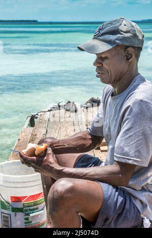 Ein Fischer kleidet Conch im einheimischen bahamischen Fischrestaurant am Ufer in Bimini auf den Bahamas. Stockfoto
