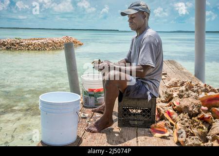 Ein Fischer kleidet Conch im einheimischen bahamischen Fischrestaurant am Ufer in Bimini auf den Bahamas. Stockfoto