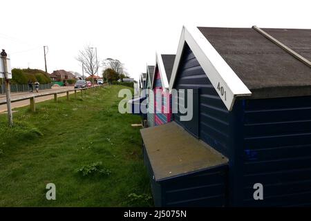 Die Bewohner von Mersea Island genossen den Strand in East Mersea am Ostermontag nach zwei Jahren der COVID-19-Beschränkungen, während West Mersea von Touristen überrannt wurde, Besucher und Bewohner die berühmte Oyster Bar besuchten, um einige der besten Meeresfrüchte zu probieren, die in Großbritannien erhältlich sind ... Stockfoto