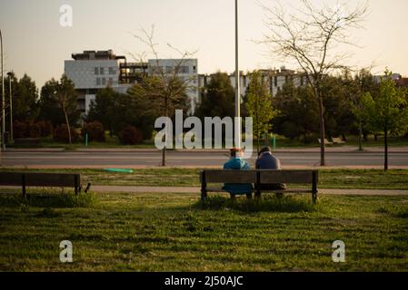 Elderiges Paar in einem Park mit Sonnenuntergang Stockfoto