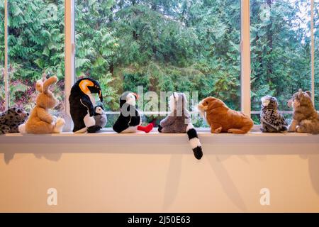 Ausgestopfte Tiere sitzen auf einer Schwelle und starren aus dem Fenster auf einen Wald Stockfoto