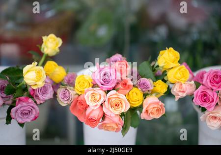 In einem Floristen-Shop werden mehrfarbige Rosen ausgestellt. Speicherplatz kopieren. Stockfoto