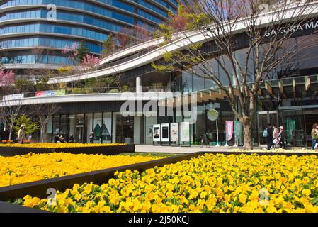 SAKURA MACHI Kumamoto, Präfektur Kumamoto, Japan Stockfoto