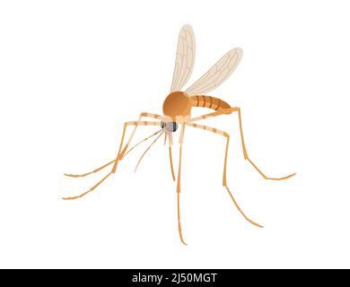 Braune Mücke blutsaugende Insekten Cartoon Design Vektor Illustration isoliert auf weißem Hintergrund Stock Vektor