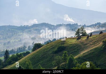 Malerischer Sommer Blick auf die Karpaten, Ukraine Stockfoto