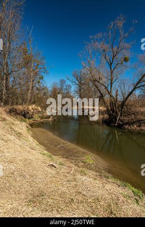 Fluss mit Bäumen und klarem Himmel im frühen Frühling - Fluss Odra in CHKO Poodri in der Nähe des Dorfes Petrvaldik in der Tschechischen republik Stockfoto