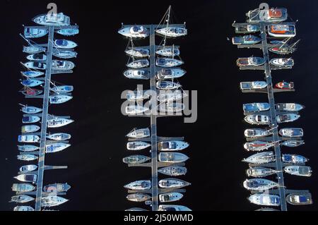 Yachten an der Royal Quays Marina in North Shields. Bilddatum: Dienstag, 19. April 2022. Stockfoto