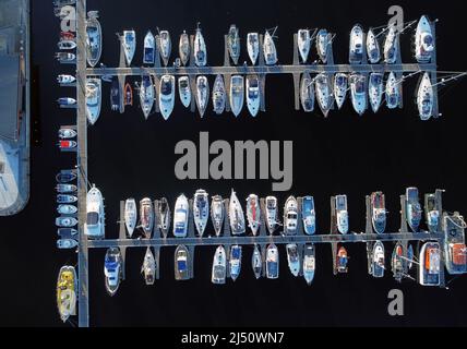 Yachten an der Royal Quays Marina in North Shields. Bilddatum: Dienstag, 19. April 2022. Stockfoto