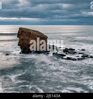 „Charlie's Garden“ ist ein Sandsteinmeer in Collywell Bay, Seaton Sluice, Northumberland, Großbritannien Stockfoto