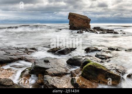 „Charlie's Garden“ ist ein Sandsteinmeer in Collywell Bay, Seaton Sluice, Northumberland, Großbritannien Stockfoto