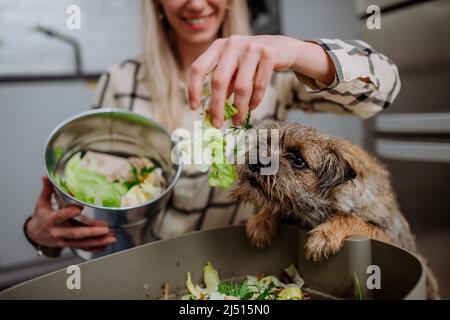 Frau wirft Gemüseschnitzel in einen Komposteimer in der Küche und füttert Hund. Stockfoto